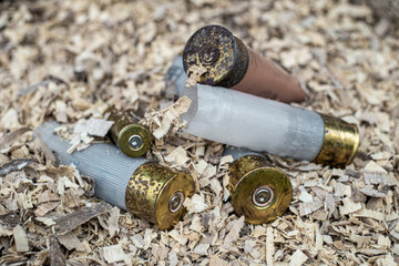 shotgun shell that has been used on the sawdust
