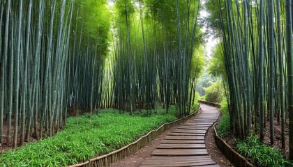 A path in a bamboo forest with bamboo trees in the background.