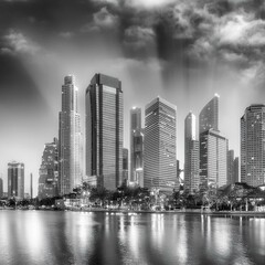 Fototapeta premium city skyline at night