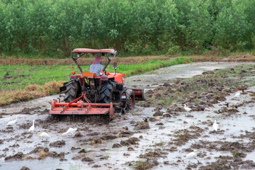 The way of life of farmers in Asia during the planting season showing living together between human and animal.