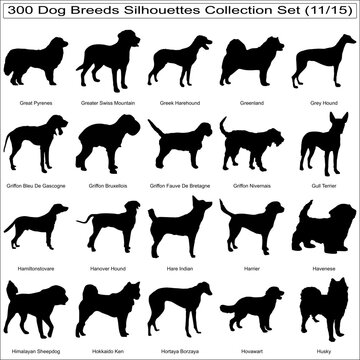Set of Dog Breeds Silhouettes Bundle Collection Set of 300 Dog Silhouettes Isolated Part 11