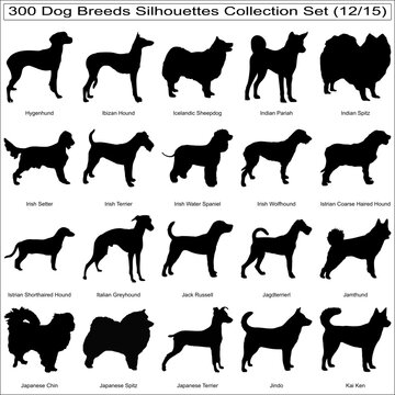 Set of Dog Breeds Silhouettes Bundle Collection Set of 300 Dog Silhouettes Isolated Part 12