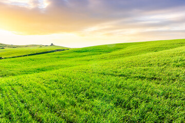 Countryside farm landscape of green field grassland in spring pr summer season with green fresh grass and beautiful sunset or sunrise cloudy sky on background
