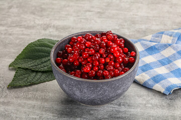 Ripe sweet wild organic cowberry