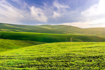 green field in countryside farm at sunset in evening light. beautiful spring landscape in hills. grassy field and hill. rural scenery