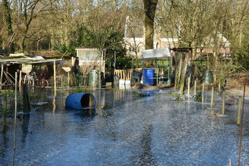 vegetable gardens with frozen high water and rain barrels on a sunny winter's day