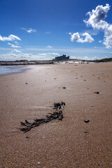bamburgh castle