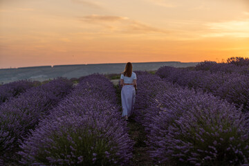 A woman walks through a field of lavender flowers