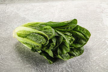 Green fresh juicy Romano salad