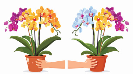 Two Orchids in flowerpots with hands Isolated on white