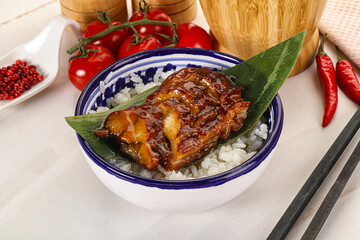 Grilled eel with steamed rice