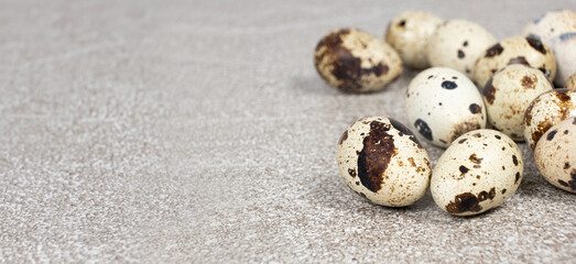 Fototapeta premium Quail eggs close-up on a gray background.