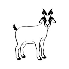 goat line art vector illustration. Eid al-Adha Sacrifice celebration festival