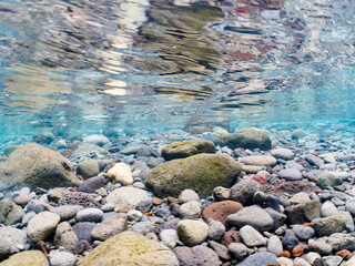 波打ち際から陸に飛び出してしまった、美しいセミホウボウ（セミホウボウ科）。
この後無事に海に戻れました。

日本国静岡県伊豆半島賀茂郡南伊豆町中木から渡し船で渡るヒリゾ浜にて。
2022年夏水中撮影。

A beautiful Oriental flying gurnard (Dactyloptena orientalis) that had jumped out of the surf and 