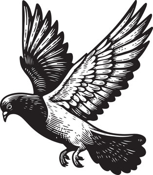recommend clip art: pigeon Vector sketch art illustration