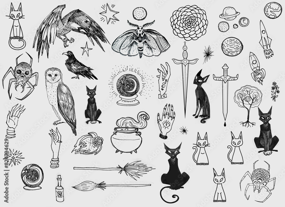 Wall mural set line art drawing clipart halloween holiday party invitation. witch minimalistic items icons bird