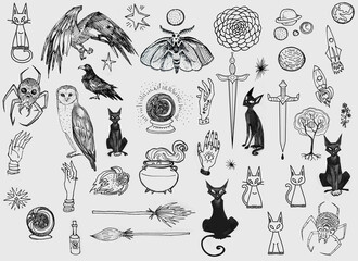 Set line art drawing clipart halloween holiday party invitation. Witch minimalistic items icons bird skull witch magic book sword rose flower Gothic stickers design elements on occult scary theme	