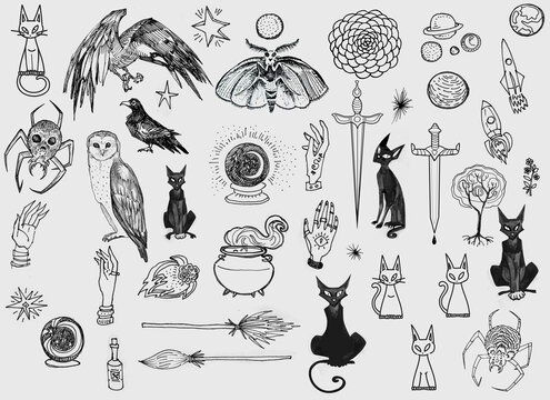 Set line art drawing clipart halloween holiday party invitation. Witch minimalistic items icons bird skull witch magic book sword rose flower Gothic stickers design elements on occult scary theme	