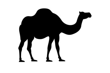 Camel silhouette vector illustration