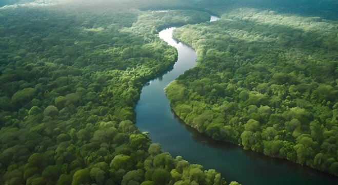 An aerial view of the Amazon rainforest, showing the winding course of a river and the vast expanse of green vegetation.