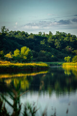 Fototapeta premium Summer river at morning . Forest on anothe beach. Fog on the water . Green forest . Reflections on the water . Sky over the lake . Trees on beach