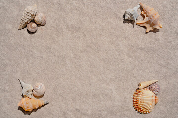 shells on the stone background. Space for text. Summer background