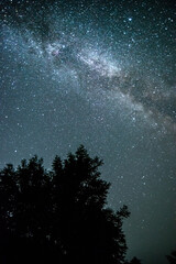 Night sky with Milky Way . Space and forest . Lights on trees . Fog at summer nught in forest 
