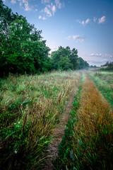 Road and forest . Summer sunrise with beautiful clouds . Blue hour at morning . Trees and field . Fog , mystery sky 