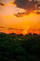 Sunrise and orange sky . Beautiful sunlights . Clouds over the forest . Green grass and trees . Summer morning . Golden hour . Sun over the forest . Lights in forest 
