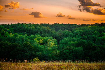 Obraz premium Sunrise and orange sky . Beautiful sunlights . Clouds over the forest . Green grass and trees . Summer morning . Golden hour . Sun over the forest . Lights in forest 