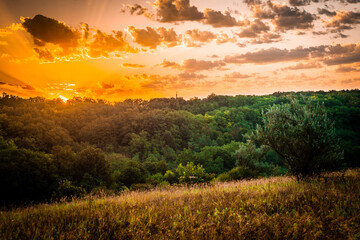 Sunrise and orange sky . Beautiful sunlights . Clouds over the forest . Green grass and trees . Summer morning . Golden hour . Sun over the forest . Lights in forest 