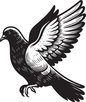 Dove clip art preview