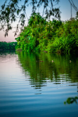 Lake and forest . Summer lake . Green woods and green field . Lake and reflactions on water . Green trees . Blue water . Forest on lake 