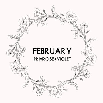 February birth month flower wreath, primrose and violet flower border, vector hand drawn isolated line art botanical frame for greeting cards and invitations