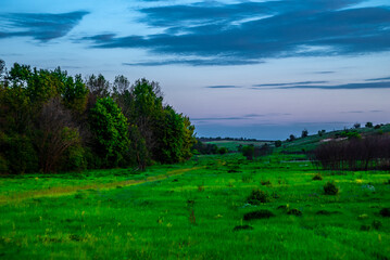 Summer landscape . Field and trees . Grass on field . Green summer woods . Sunset over the field and forest . Beautiful sky . 