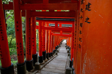 Torii-Pfad am Fushimi Inari-Taisha
