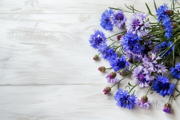 romantic message concept. a bouquet of cornflowers and space for text. invitation. congratulation