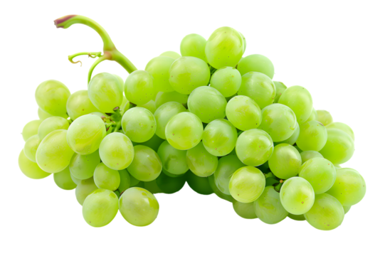 a vibrant bunch of green grapes still on the vine, showcasing their crisp texture and fresh appeal, perfect for wine enthusiasts, vineyard tours, or grape-themed designs