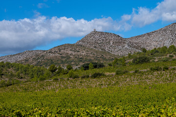 landscape with blue sky and clouds