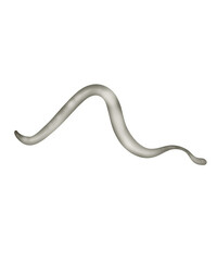 Illustration stamp design elements frame color 