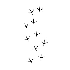 flat Chicken track footprints vector 