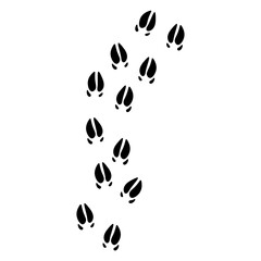 flat Boar track footprints vector 