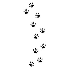 Animals Flat Footprint Hand drawn Vector 