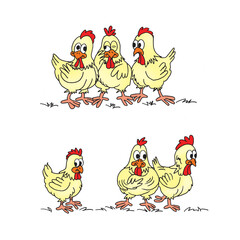 Flirtatious roosters. Chickens.
