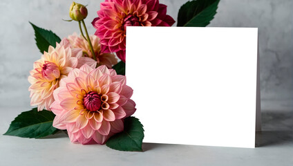 Obraz premium Square white blank card with pink dahlia flowers