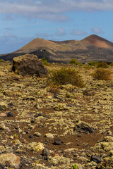 Haking trail around Montana Colorada.   Huge volcanic bomb. Lanzarote island, Canary islands,...