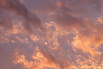 Spring evening sky with clouds illuminated by the setting sun.                               