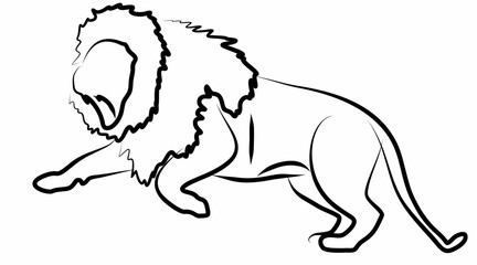 vector line art lion, logo icon