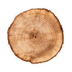 Round wooden tree slice trunk stump wood isolated on transparent or white background