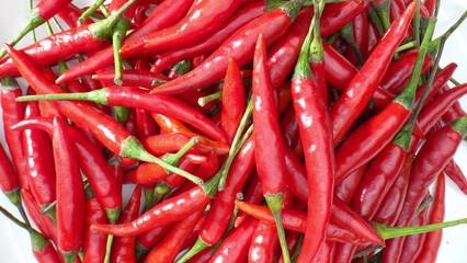 Red chili peppers dance in a mesmerizing ballet of color and texture, their skin appearing almost surreal, as each droplet of moisture captures the essence of their heat. Spicy and heat concept. 
